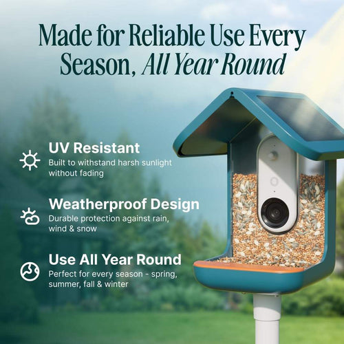 See Your Backyard Like Never Before