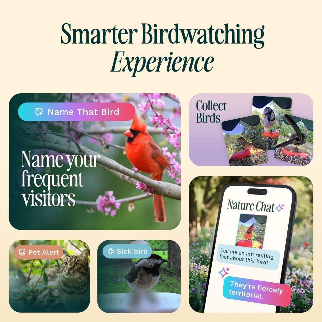 See Your Backyard Like Never Before
