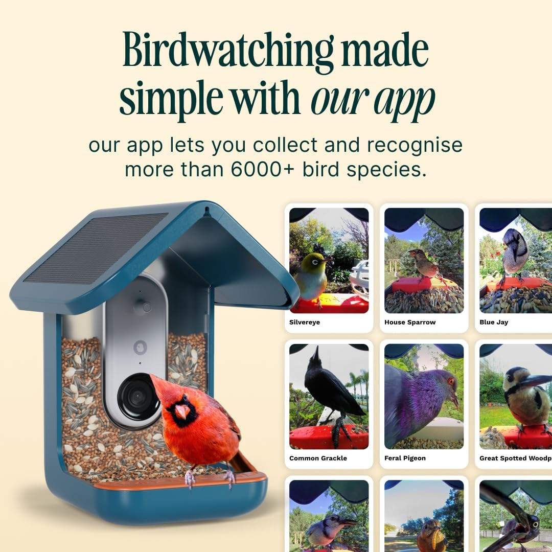 See Your Backyard Like Never Before
