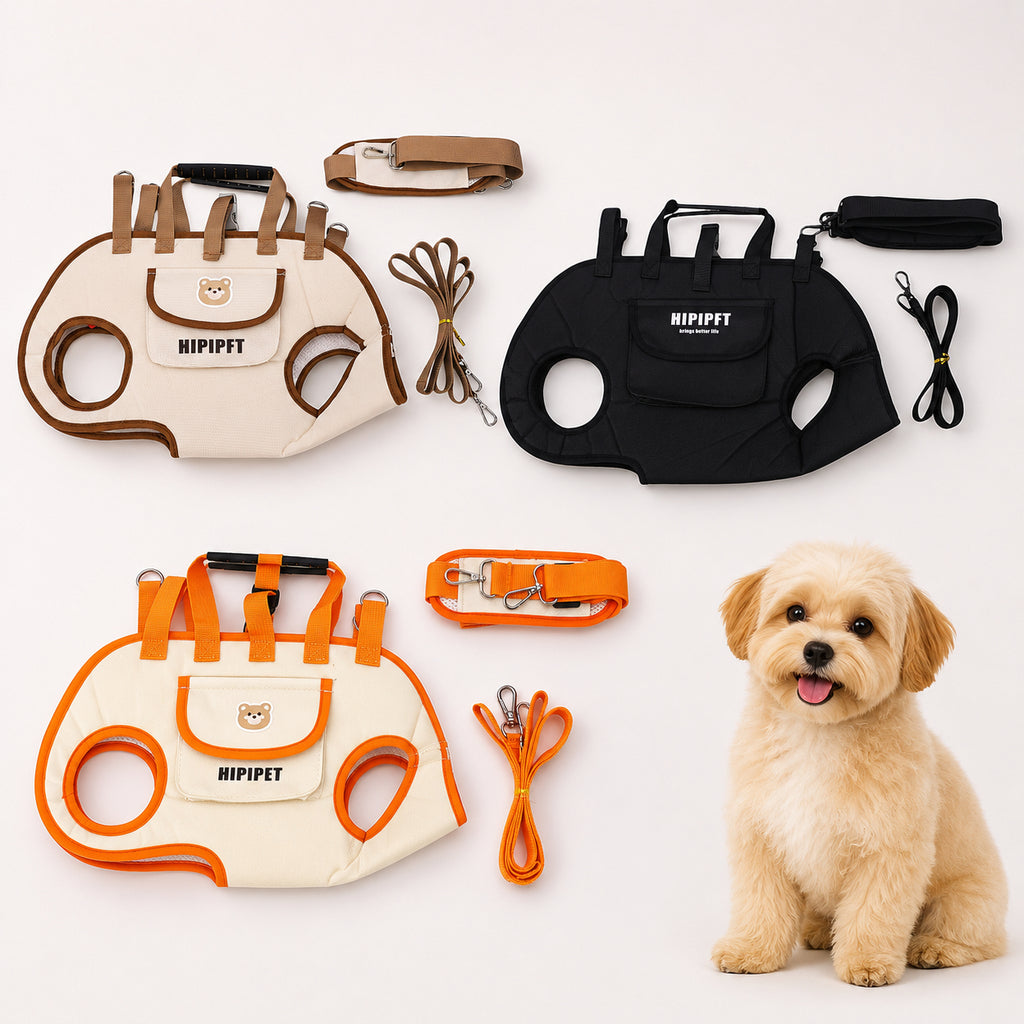 🐾Adjustable Foldable Pet Carrier Backpack | Oxford Dog Cat Travel Bag With Leash Set